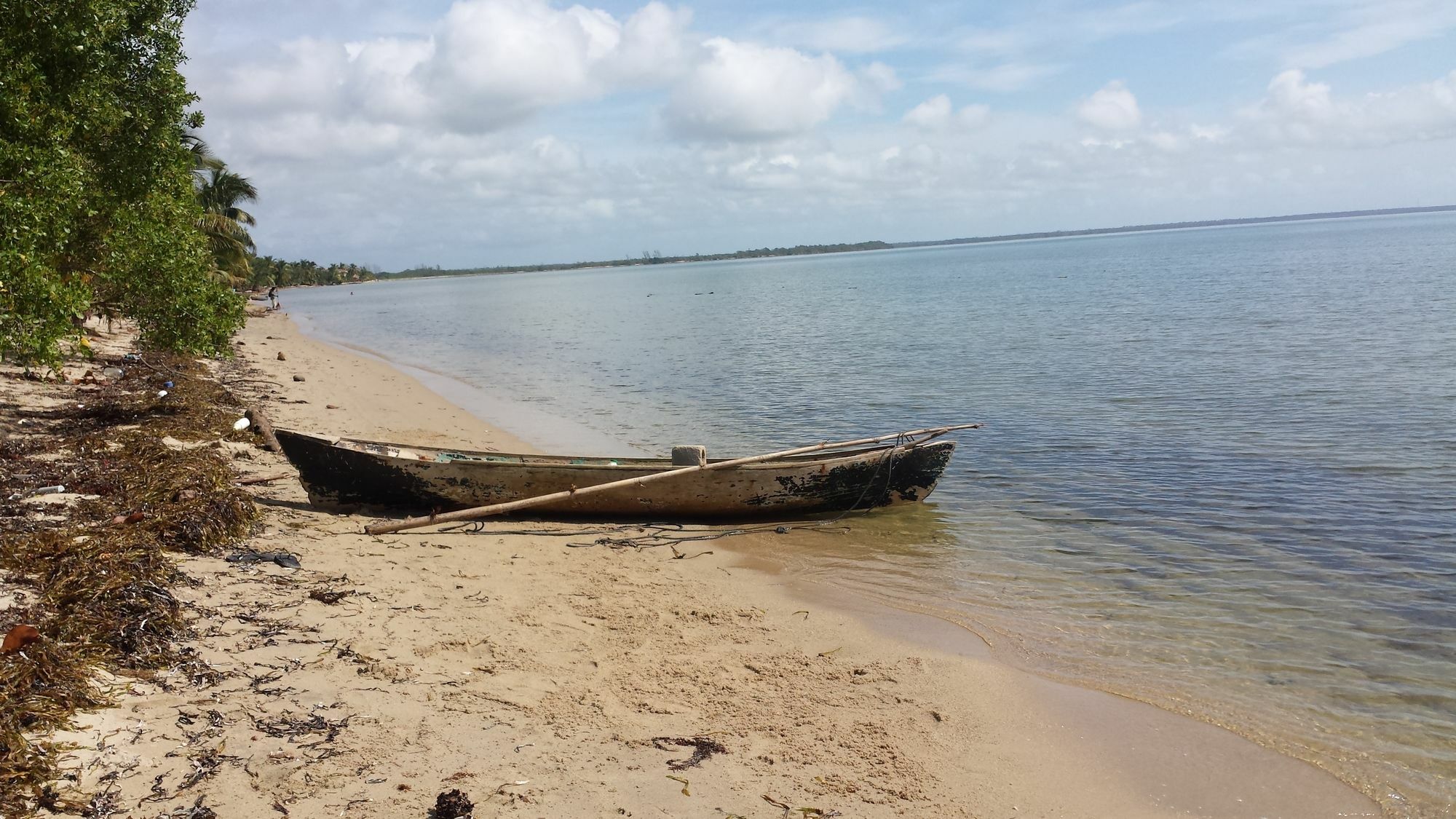 Palmento Grove Cultural And Fishing Lodge Hopkins Exterior foto